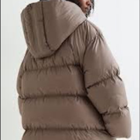 Down Jacket - Picture 3 of 4